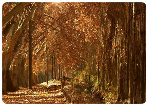 MENDOZA PRACTICAL INFORMATION