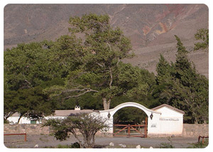 Northwest tourist information - Argentina