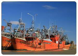 puerto madryn travel guide