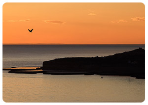 puerto madryn travel guide