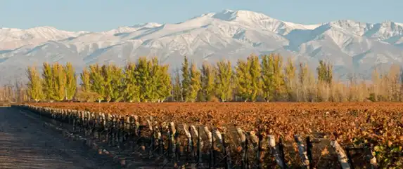 Mendoza wine tours