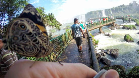 iguazu falls tourist