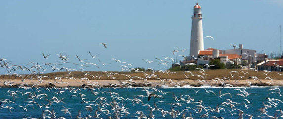 Punta del este