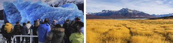 el Calafate and Perito Moreno glacier