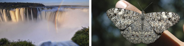Iguazu falls